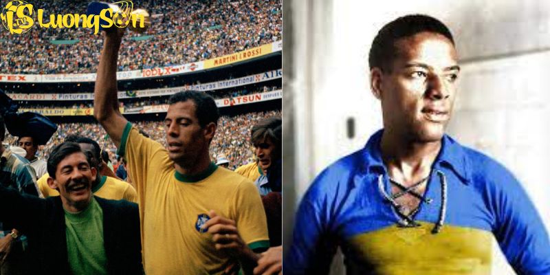 Carlos Alberto và Domingos Da Guia là hai trung vệ huyền thoại của Brazil