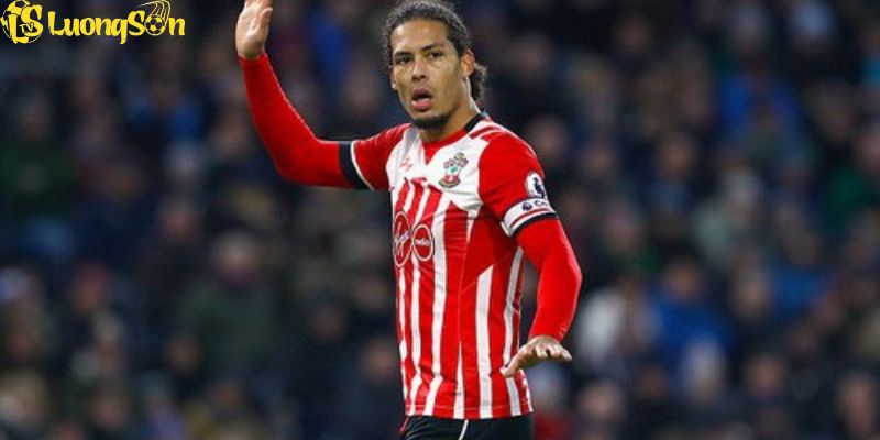 Diễn biến sự nghiệp trong tiểu sử Virgil van Dijk 